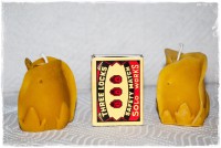 /album/fotogalerie-prodej-voskovych-ozdob-svicek/a20180901-143048-dsc-0004-jpg/