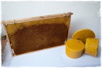 /album/fotogalerie-prodej-voskovych-ozdob-svicek/a20150915-143400-dsc-6472-jpg/