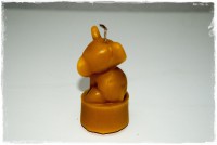 /album/fotogalerie-prodej-voskovych-ozdob-svicek/a20191115-124652-dsc-0719-jpg/